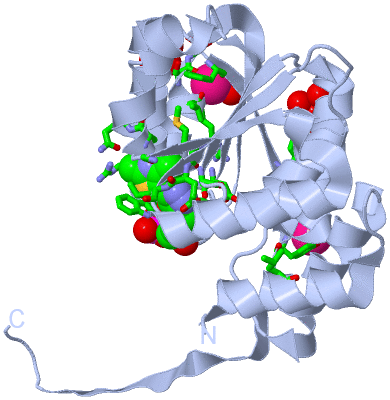 Image Biol. Unit 1 - sites