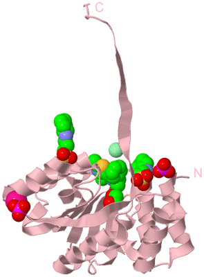 Image Biological Unit 3