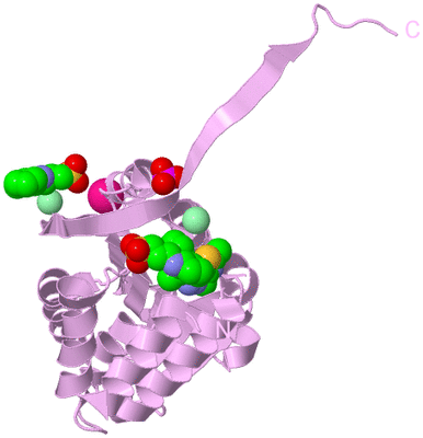 Image Biological Unit 5