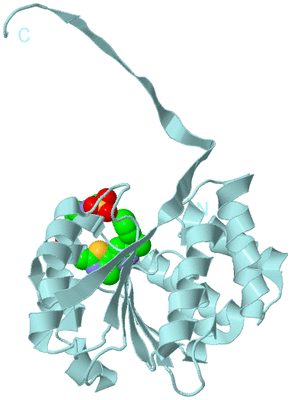 Image Biological Unit 6