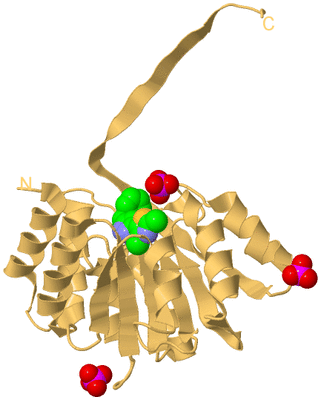 Image Biological Unit 7