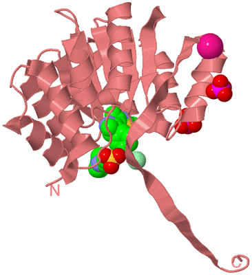 Image Biological Unit 8