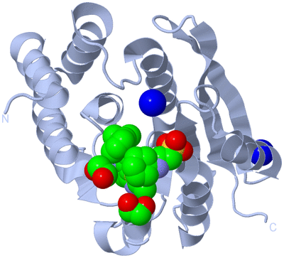 Image Biological Unit 1