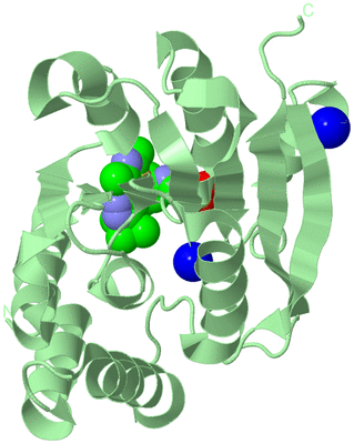 Image Biological Unit 2