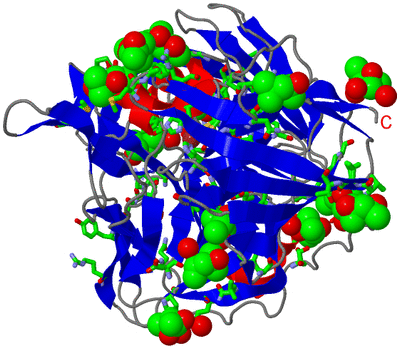 Image Asym./Biol. Unit - sites