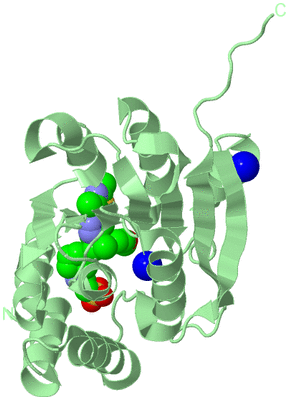 Image Biological Unit 2