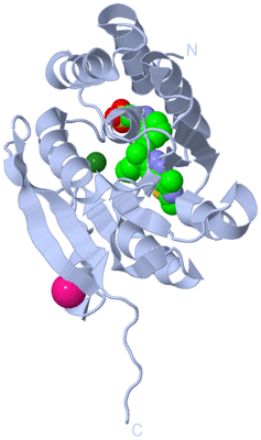 Image Biological Unit 1