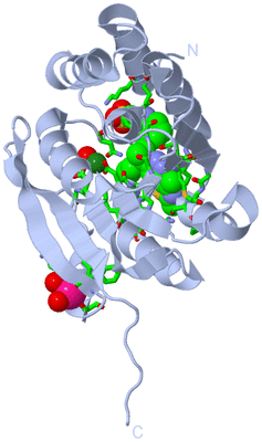 Image Biol. Unit 1 - sites