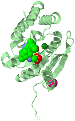 Image Biological Unit 2