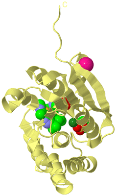 Image Biological Unit 4