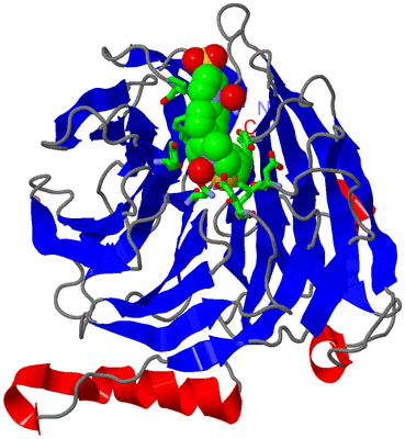 Image Asym./Biol. Unit - sites