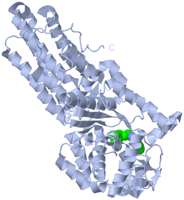 Image Biological Unit 1