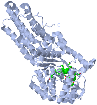 Image Biol. Unit 1 - sites