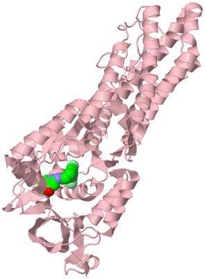 Image Biological Unit 3