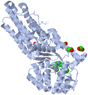 Image Biological Unit 1