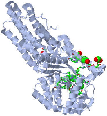 Image Biol. Unit 1 - sites