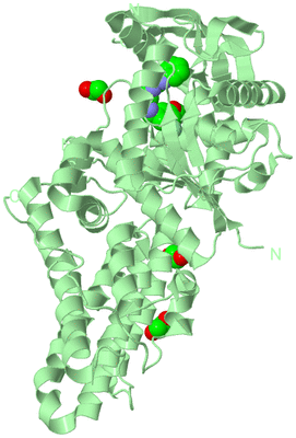 Image Biological Unit 2