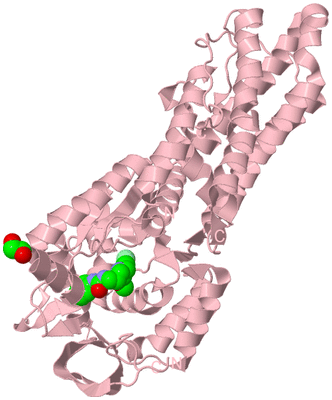 Image Biological Unit 3