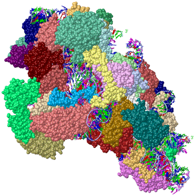 Image Asym./Biol. Unit