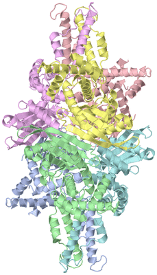 Image Asym./Biol. Unit