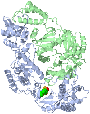 Image Asym./Biol. Unit