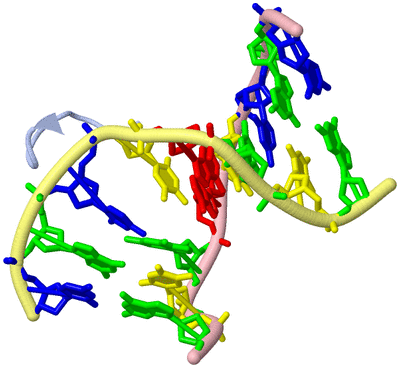 Image Biological Unit 1