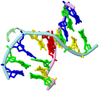 Image Biological Unit 2