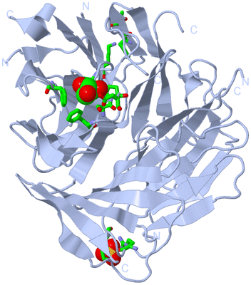 Image Biol. Unit 1 - sites