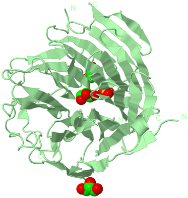 Image Biological Unit 2