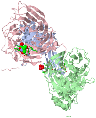 Image Asym./Biol. Unit - sites