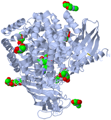 Image Biological Unit 1