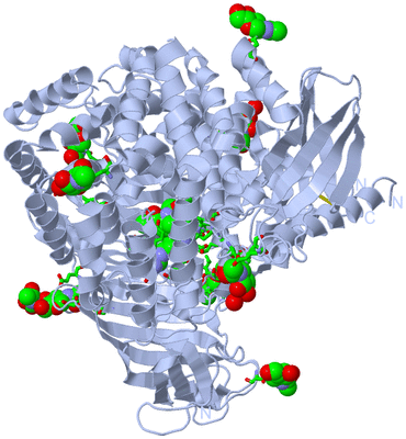 Image Biol. Unit 1 - sites