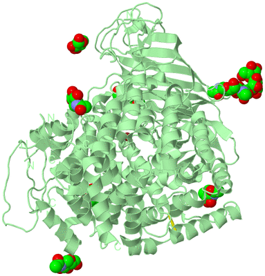 Image Biological Unit 2