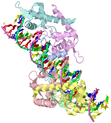 Image Asym./Biol. Unit