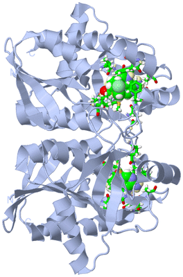 Image Biol. Unit 1 - sites