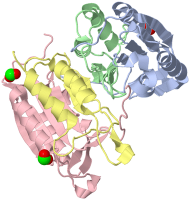 Image Asym./Biol. Unit