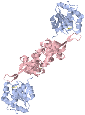 Image Biological Unit 1