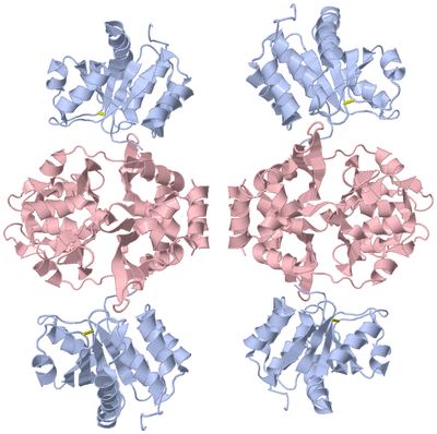 Image Biological Unit 2