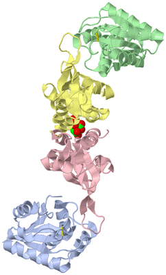 Image Asym./Biol. Unit