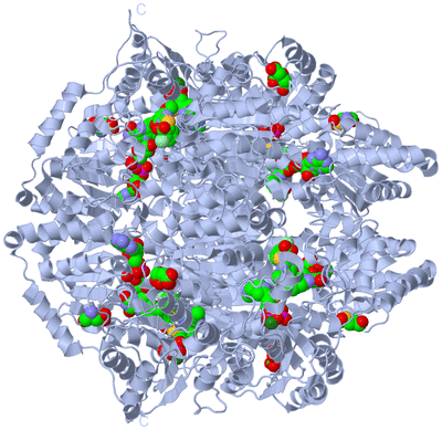 Image Biological Unit 1