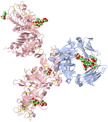 Image Biological Unit 1