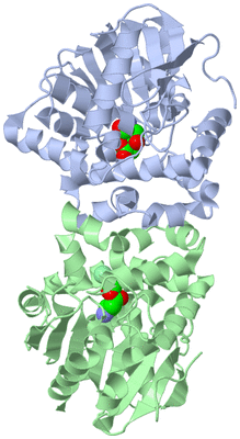 Image Asym./Biol. Unit