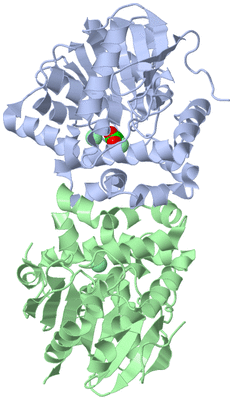 Image Asym./Biol. Unit