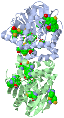 Image Asym./Biol. Unit - sites