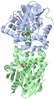 Image Asym./Biol. Unit - sites