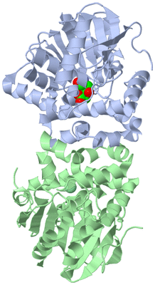 Image Asym./Biol. Unit