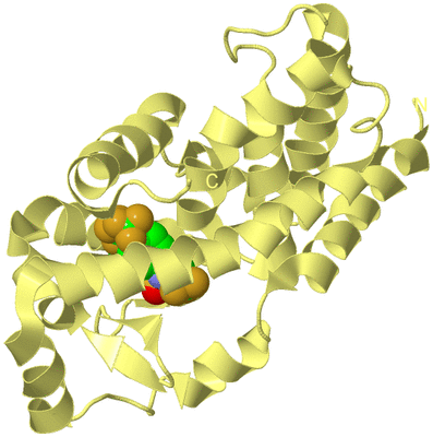 Image Biological Unit 4