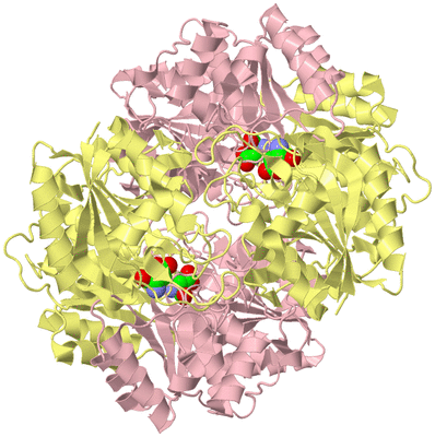 Image Biological Unit 2