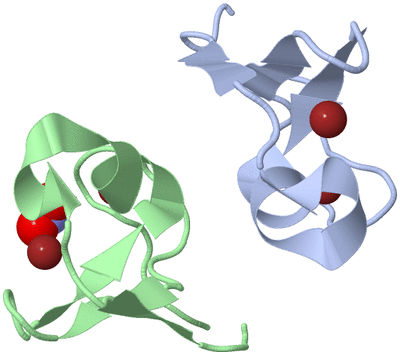 Image Biological Unit 1