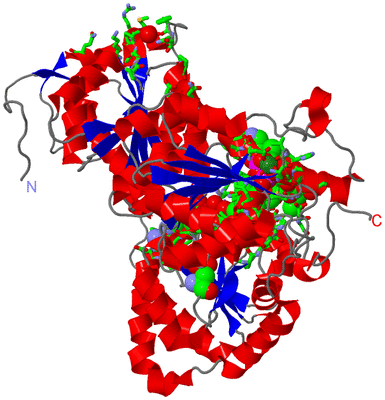 Image Asym. Unit - sites